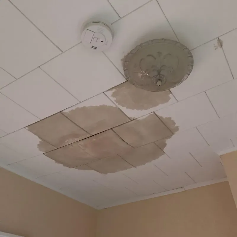 Ceiling Water Damage Repair in Yates Center, KS