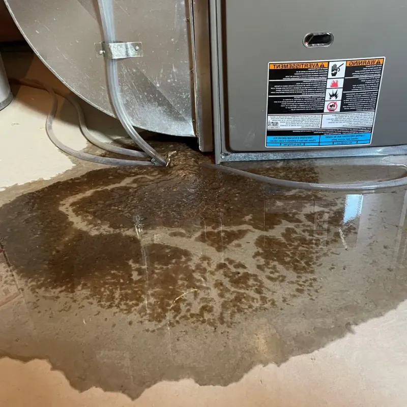 Pipe Burst and Leak Restoration in Yates Center, KS