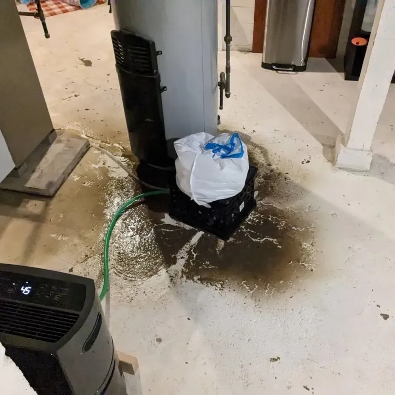 Sewage Backup Cleanup Service in Yates Center, KS